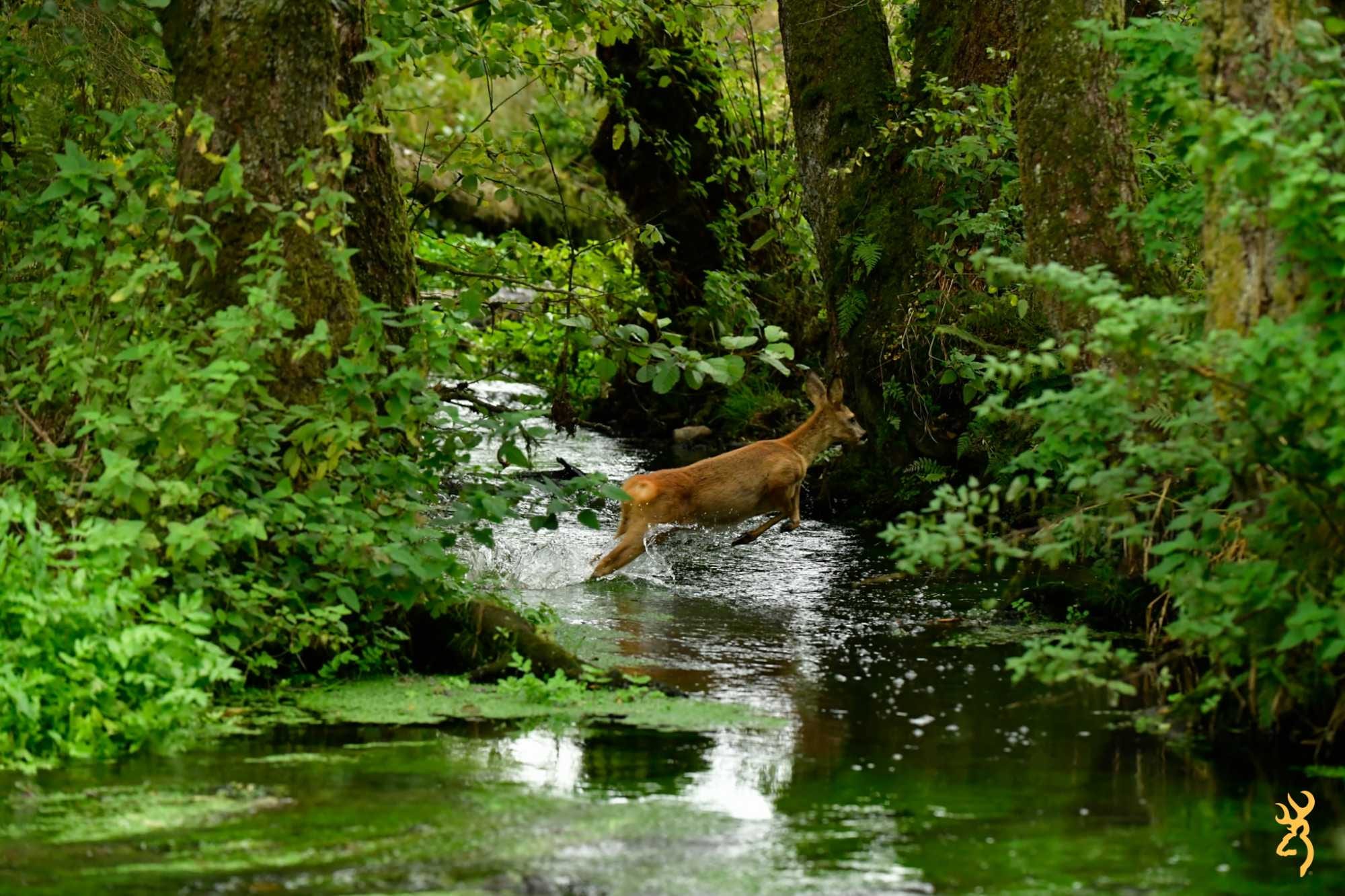 Interdire la chasse ? C’est condamner la biodiversité !