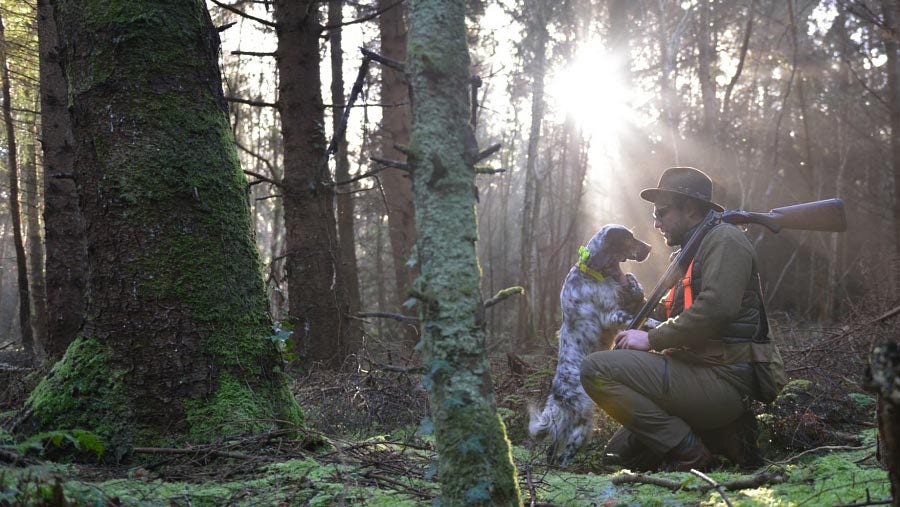 Le choix du chien de chasse