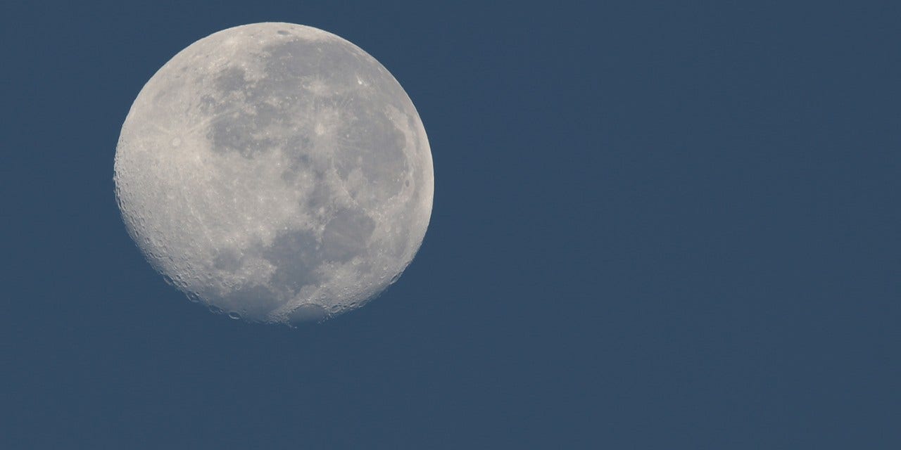 L’importance de la lune pour chasser le chevreuil à l’approche