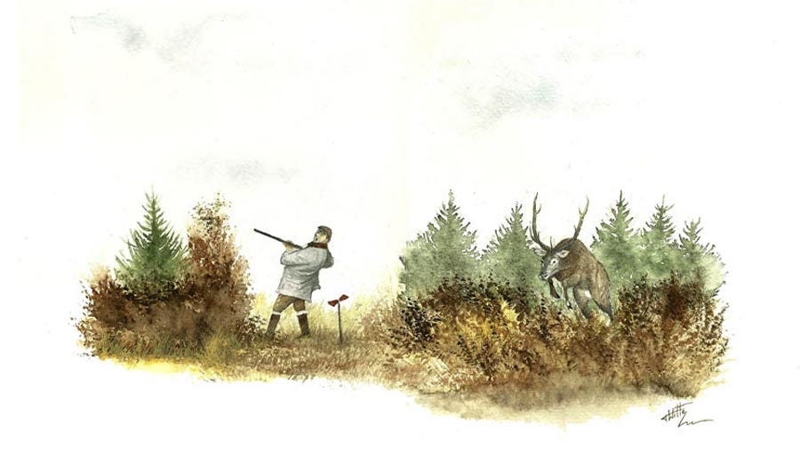Trois questions à Thibaut De Witte, illustrateur cynégétique